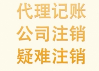 代理记账如何成为您的精准财务导航仪？
