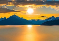 北京公司专利可以转让给多个人吗？