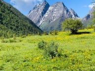 北京收购大额流水公司代办