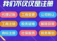上海注册公司选类型 这些要点你必须清楚