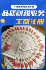上海注册公司类型区别 新手创业必看攻略
